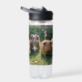 Drie Baby-cavia's, Waterfles (Rechts)