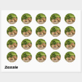 drie baby-chipmunken ronde sticker (Vel)