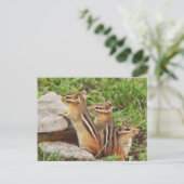 Drie Baby Chipmunks Briefkaart (Staand voorkant)