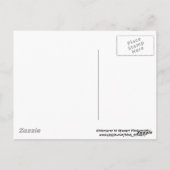 Drie Baby Chipmunks Briefkaart (Achterkant)