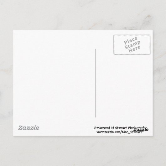 Drie Baby Chipmunks Briefkaart (Achterkant)