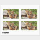 Drie Baby Chipmunks Rechthoekige Sticker (Vel)