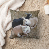 Drie Baby geiten Kussen (Blanket)