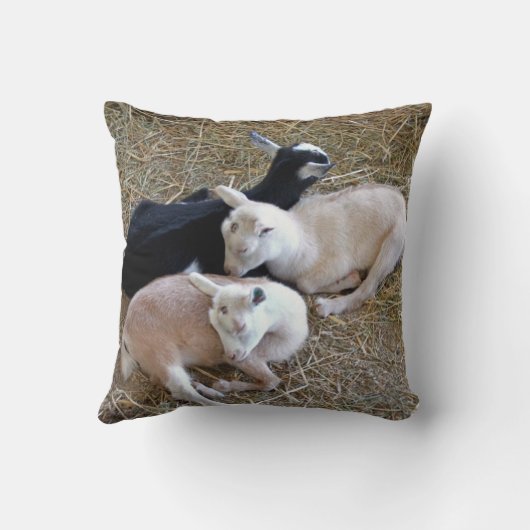 Drie Baby geiten Kussen (Achterkant)