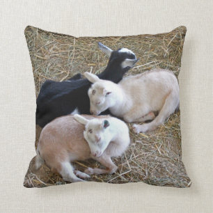 Drie Baby geiten Kussen
