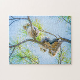 Drie Baby Great Horned Ownership Fotografie Legpuzzel