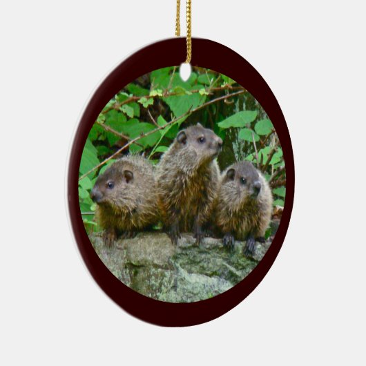 Drie Baby Groundhogs Keramisch Ornament (Rechts)