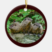 Drie Baby Groundhogs Keramisch Ornament (Voorkant)