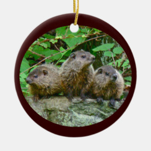 Drie Baby Groundhogs Keramisch Ornament