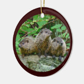 Drie Baby Groundhogs Keramisch Ornament (Links)