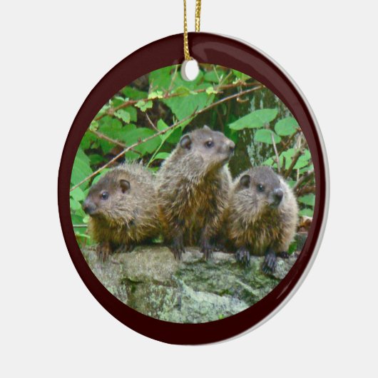 Drie Baby Groundhogs Keramisch Ornament (Links)