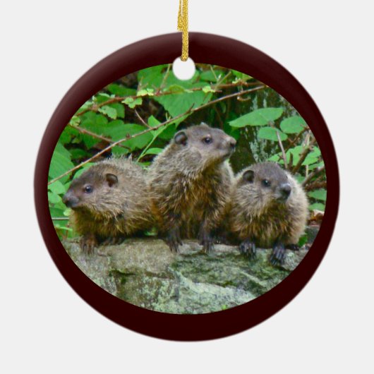 Drie Baby Groundhogs Keramisch Ornament (Achterkant)