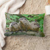 Drie Baby Groundhogs Kussen (Deken)