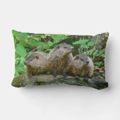 Drie Baby Groundhogs Kussen (Achterkant)