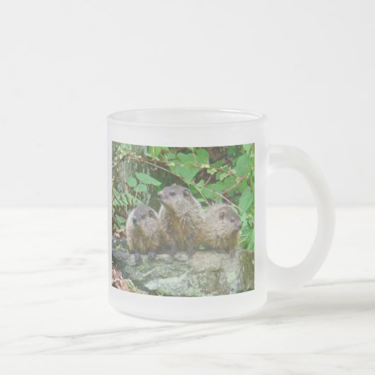 Drie Baby Groundhogs Matglas Koffiemok (Rechts)