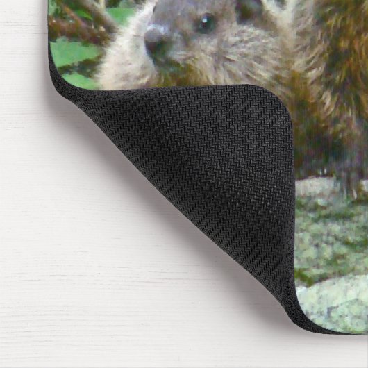 Drie Baby Groundhogs Muismat (Hoek)