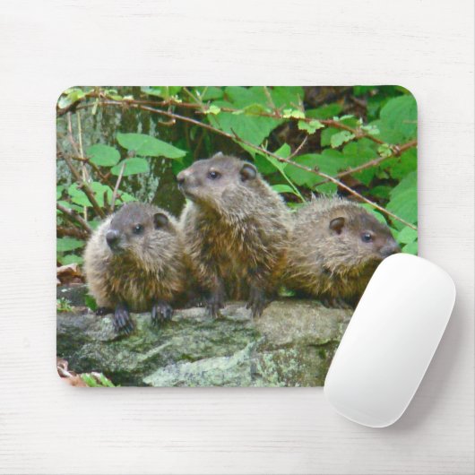 Drie Baby Groundhogs Muismat (Met muis)