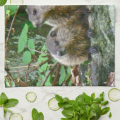 Drie Baby Groundhogs Theedoek (Gevouwen)