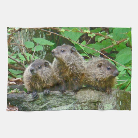 Drie Baby Groundhogs Theedoek (Horizontaal)