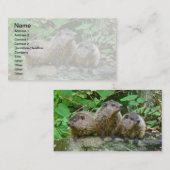 Drie Baby Groundhogs Visitekaartje (Voorkant / Achterkant)