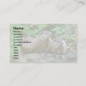 Drie Baby Groundhogs Visitekaartje (Voorkant)