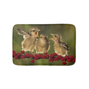 Drie Baby Lanius Schach Birds Badmat