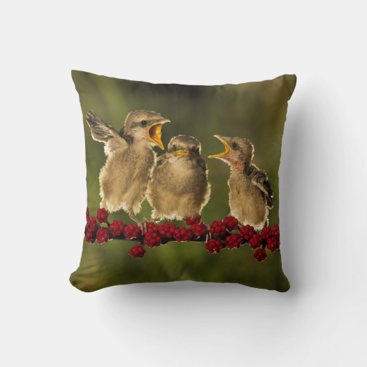 Drie Baby Lanius Schach Birds Kussen (Voorkant)