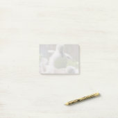 Drie Baby Swan Cygnet-voeringen die elkaar aaneenn Post-it® Notes (Op bureau)