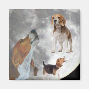 Drie Beagles en het Moon Magnet