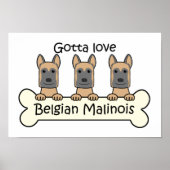 Drie Belgische Malinois Poster (Voorkant)
