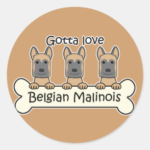 Drie Belgische Malinois Ronde Sticker