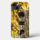 Drie beren Case-Mate iPhone case (Achterkant)