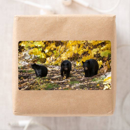 Drie Beren Etiket (Insitu)