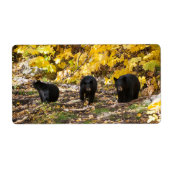 Drie Beren Etiket (Voorkant)