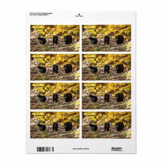 Drie Beren Etiket (Full Sheet)