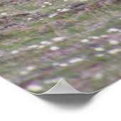 Drie Beren fotograferen Poster (Hoek)