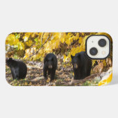 Drie beren iPhone hoesje (Achterkant horizontaal)