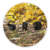 Drie Beren Keramische Knop (Voorkant)