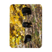 Drie Beren Magneet (Verticaal)