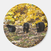 Drie Beren Magneet (Voorkant)