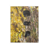 Drie Beren Notitieblok (Linkerzijde)