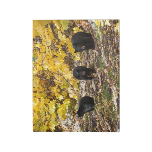 Drie Beren Notitieblok (Linkerzijde)