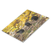 Drie Beren Notitieblok (Schuin)