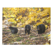 Drie Beren Notitieblok (Voorkant)