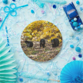 Drie Beren Papieren Bordje (Feest)