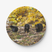 Drie Beren Papieren Bordje (Voorkant)