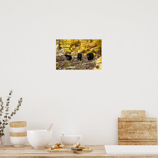 Drie beren poster (Keuken)