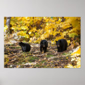 Drie beren poster (Voorkant)