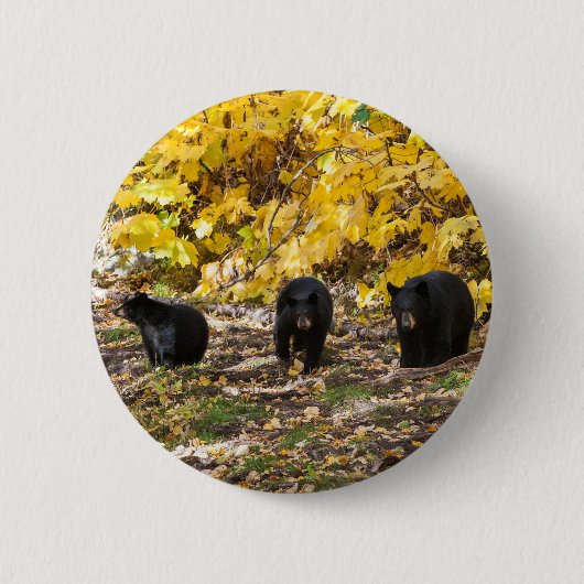 Drie Beren Ronde Button 5,7 Cm (Voorkant)