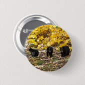 Drie Beren Ronde Button 5,7 Cm (Voorkant /achterkant)